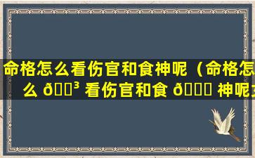 命格怎么看伤官和食神呢（命格怎么 🌳 看伤官和食 🐒 神呢女）